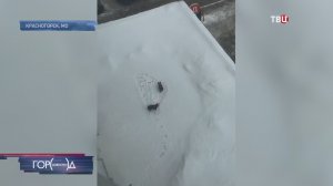 Жительница Подмосковья выгуливает собак на козырьке пристройки магазина