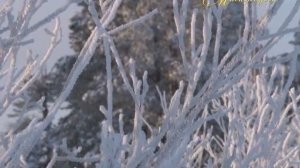 "МИМОХОДОМ", 12 февраля 2014 год. Автор проекта О. Дзиов