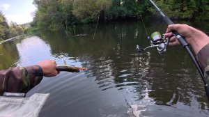 Приехал на место, где не был больше года. Крупные щуки еще здесь остались.