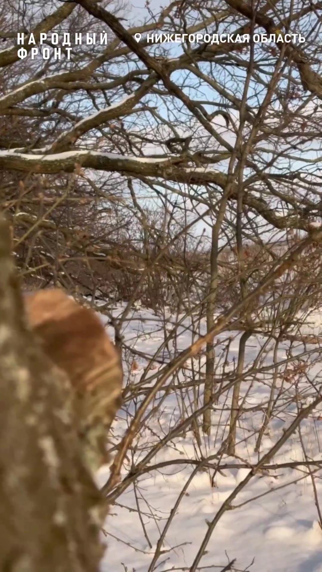 "Возможно, это последняя минута нашей жизни": российские военные запутали вражеский дрон. смотреть онлайн