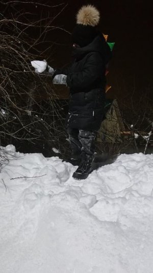 огромный наггетс.........