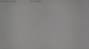 LIVE: channel43489494