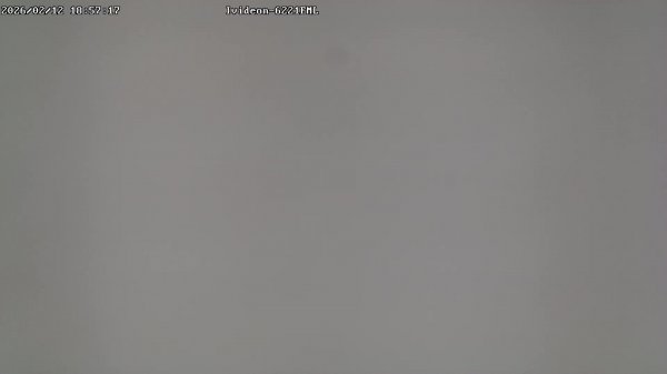 LIVE: channel43489494