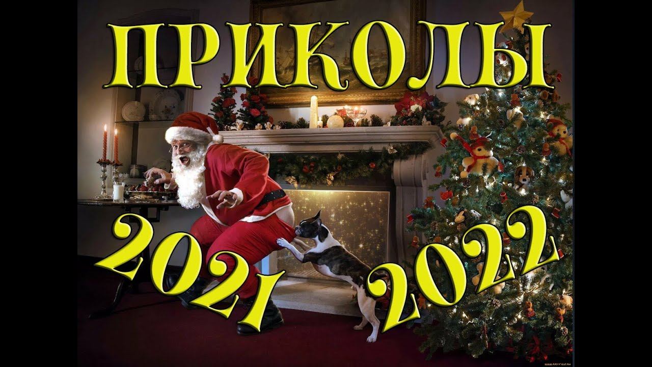 Лучшие приколы декабрь 2021/ Лучшие приколы тик ток / Тест на психику/ Приколы с животными