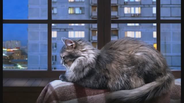 475 Инструментальная музыка Р. Паулса - Расставание смотреть онлайн