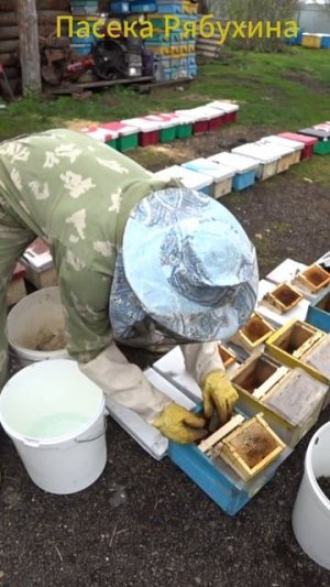 ЗАСЕЛЕНИЕ_НУКЛЕУСОВ.