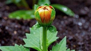 Счастье живет рядом с нами