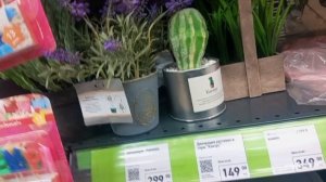 Рубрика" нуЧо иди сюда винегрет" Обзорно по магазинам