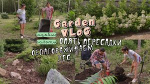 VLOG II Новые пересадки II Облагораживаем Лес