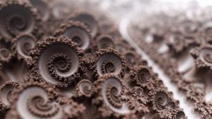 чашуйки марокуйки