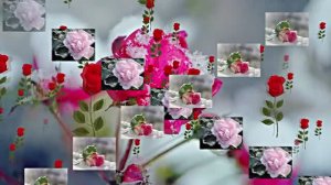 Волшебная Зимняя розовая сказка 1 от Киностудии Мудрого Кота Тимофея!