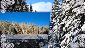 Зимний лес 1!!! Русская народная сказка от Киностудии Мудрого Кота Тимофея!