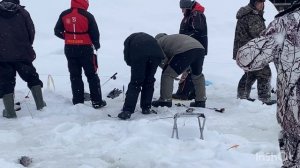 Продолжаем поимки