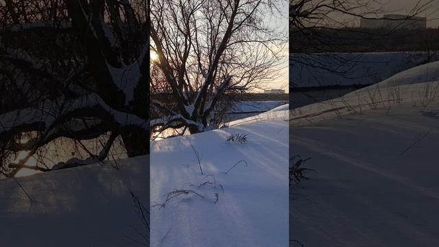 Почему река в Подмосковье не замерзает при -30?