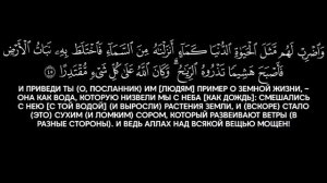 Сура 18. «Аль-Кахф» (Пещера). Чтец: Ясир ад-Даусари.