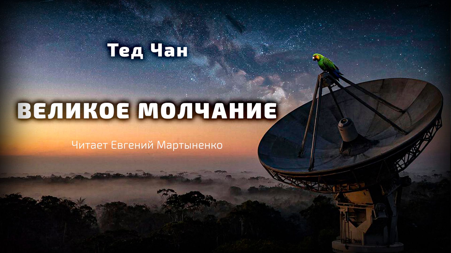 Тед Чан — Великое молчание | Философская фантастика о разуме и вселенной | Аудиокнига Тед Чан — Великое молчание | Философская фантастика о разуме и вселенной | Аудиокнига