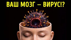 Факты о человеческом теле, которые вам не покажет зеркало