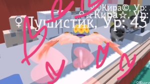 Cute pocket Cat 3D💗❤️