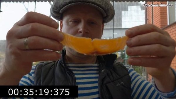 Самый простой и вкусный способ приготовить KFC в домашних условиях. 100 блюд из курицы