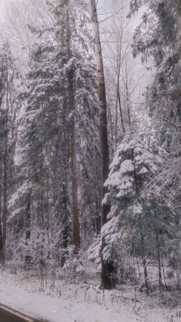 11 ФЕВРАЛЯ 2026