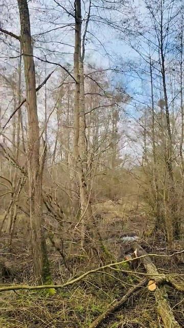 Невероятные ощущения красоты каждого момента #Франция #февраль2026 #Fleury_sur_orne #семьЯ #любовь смотреть онлайн