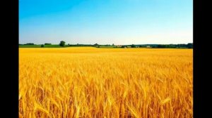 стихотворение Сила России