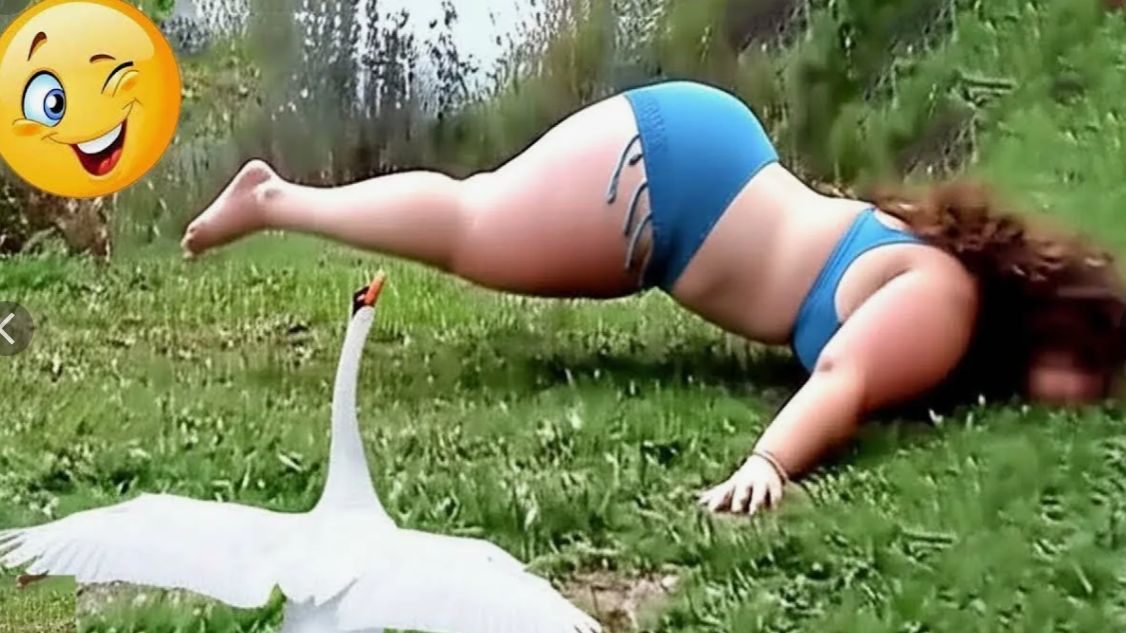 Самые Смешные Моменты смотреть онлайн