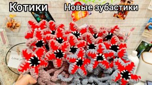 Зубастые цветочки/ размышления, лицом в кадре/ утки в шапке