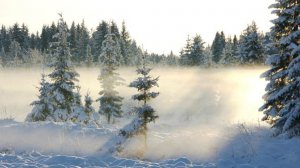 Снег летит и летит. Поёт Валентина Дробышева