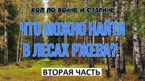 ЧТО МОЖНО НАЙТИ В ЛЕСАХ РЖЕВА вторая часть
