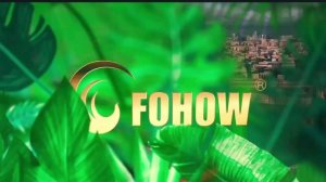 день здоровья с FOHOW