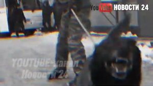 Бастрыкин в ярости! Мэр Сердобска выдала сертификаты двум жёнам одного мужа-таджика.