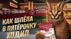 Как Шлёпа за пельменями в Пятёрочку ходил