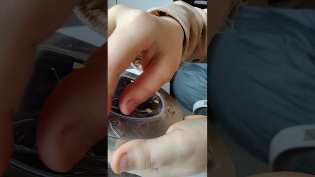 ⛓️💥⛓️💥⛓️💥⛓️💥