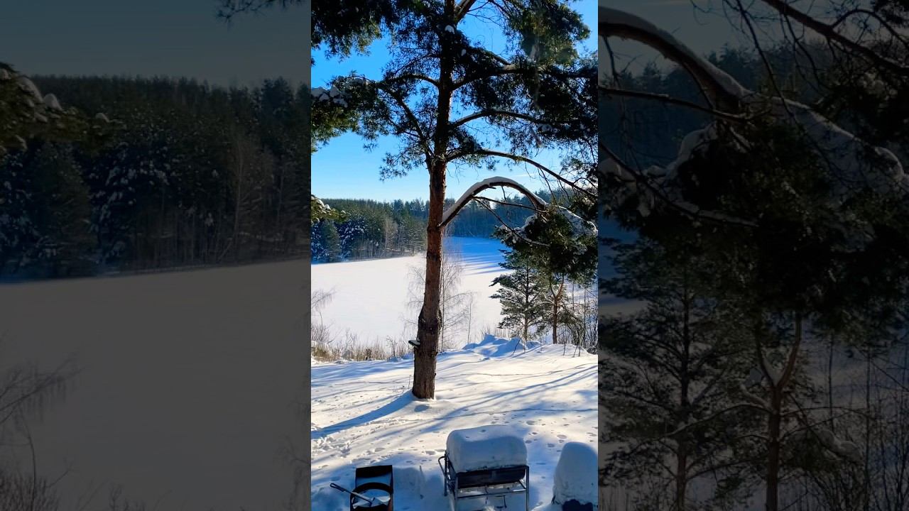 Готовим голубей #еда #рецепт #готовканаприроде #рецепты #отдых #вкуснопростоибюджетно смотреть онлайн