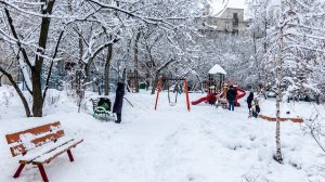 Солнечное утро на нашем дворе 11 февраля