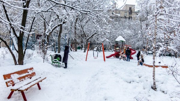 Солнечное утро на нашем дворе 11 февраля