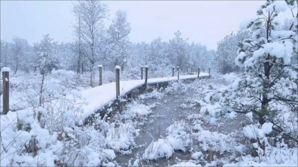Заморозьте соль и враги получат по заслугам.