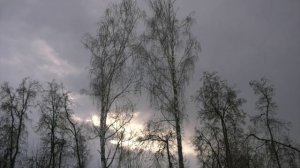 Отказ от получения посылки обошёлся пенсионерке в несколько миллионов рублей