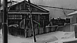 SYTONG am 06-35 lrf .1.