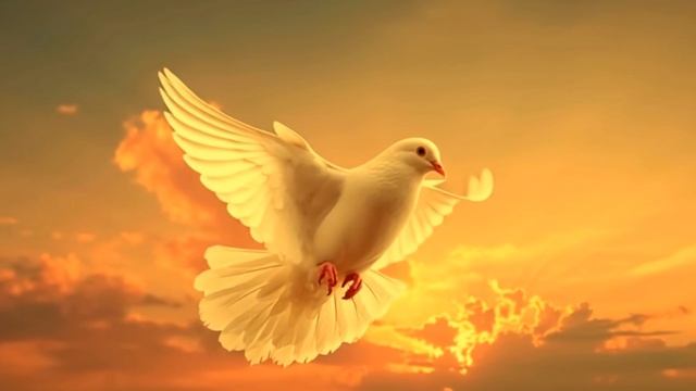 Кто я клип смотреть онлайн