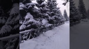 супер песня