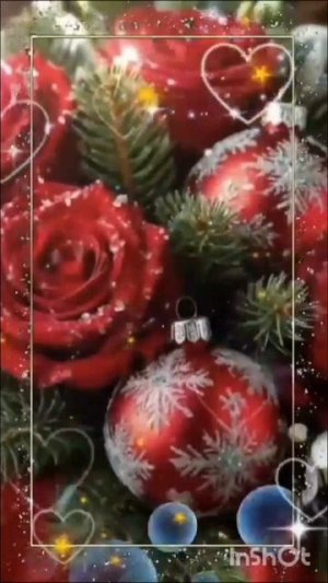 InShot_20260212_191427497.mp4