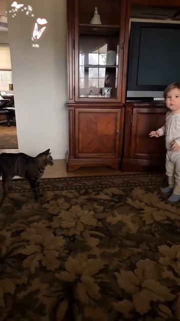 Baby and Cat ❤️ смотреть онлайн