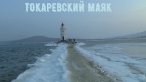 *МОРЖИ* или ТЮЛЕНИ во ВЛАДИВОСТОКЕ зимой