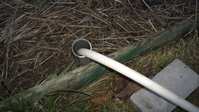 Виноград после обрезки.Освещение виноградника в темное время суток.