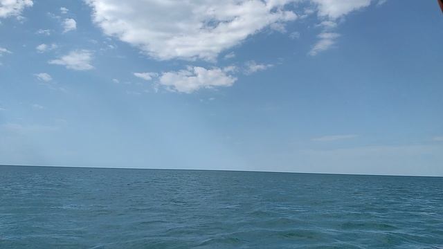 Доплыли на катамаране до конца мыса Алчак-Кая в Судаке на Чёрном море смотреть онлайн