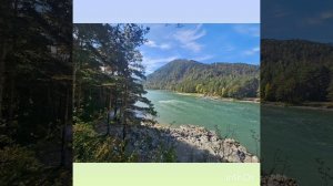 Сказка Дружбы