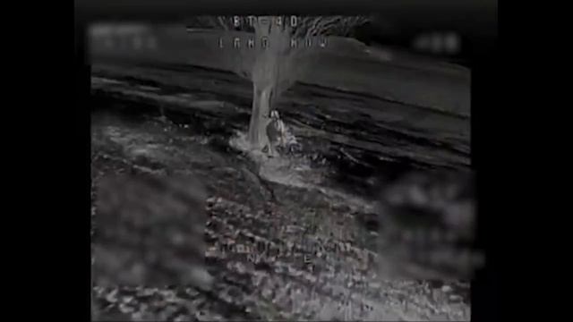 Ежедневный свинорез от _Рубикона_. смотреть онлайн