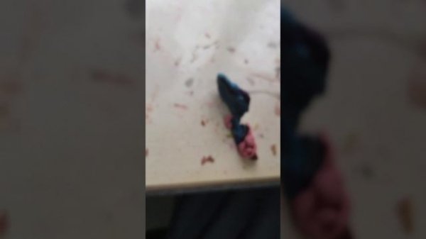 Harry potter and the chamber of secrets (2026)